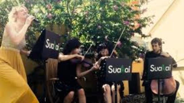 Suakai, 40 músicos profesionales en Navarra