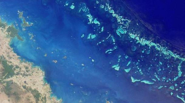 Arrecifes de coral, microfábricas de insulina y ciencia y post-verdad