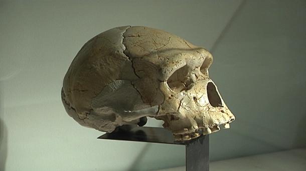 Atapuerca: 40 años desenterrando historia y el patrimonio geológico