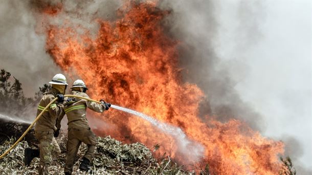 ¿Cómo preservar nuestro entorno de los incendios?