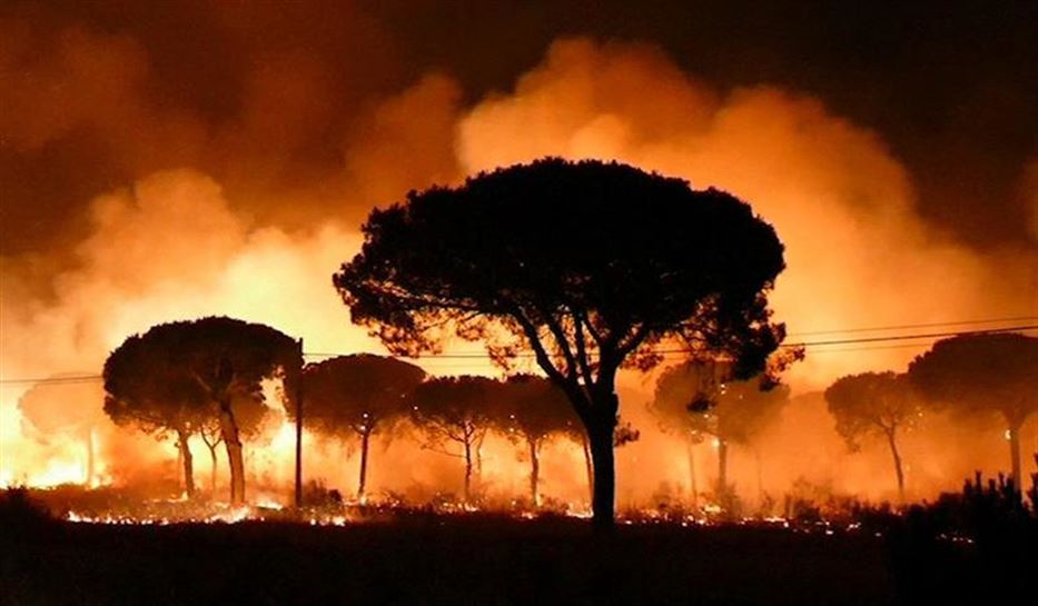 Evacuadas más de 2.000 personas por un incendio forestal en Huelva. Foto: EFE