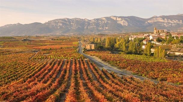 Fomento descarta el trazado del TAV de mayor afección en Rioja Alavesa