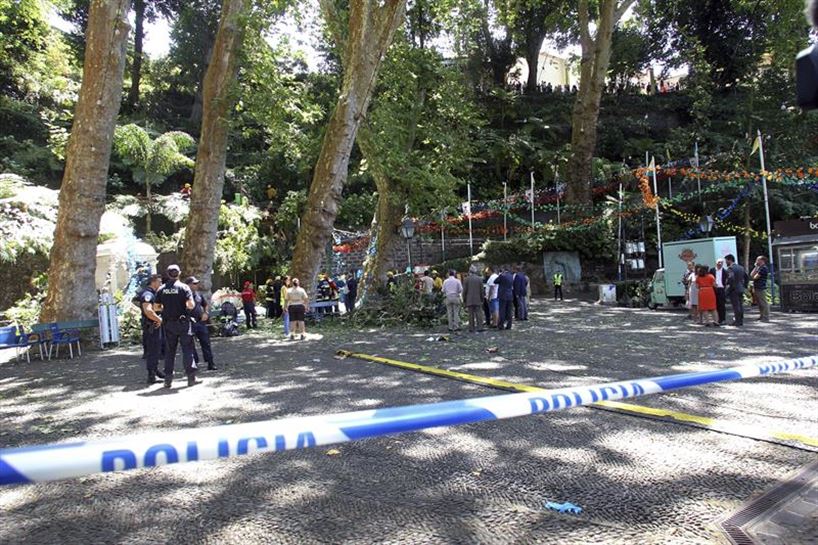 Un árbol centenario de grandes dimensiones se ha desplomado en Madeira. Foto: EFE