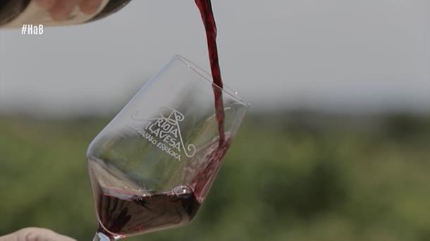 La Asociación de Bodegas de Rioja alavesa denuncia al Consejo regulador 
