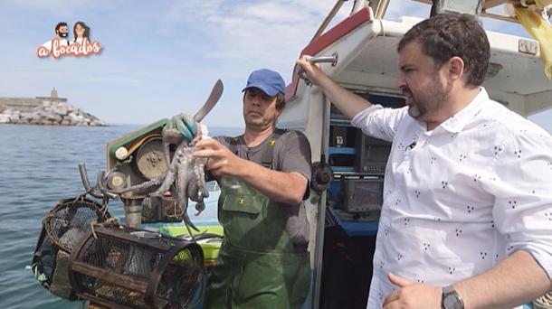 En busca del calamar gigante frente a las costas de Asturias 