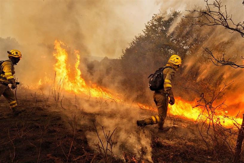 Incendios en Galicia. EFE