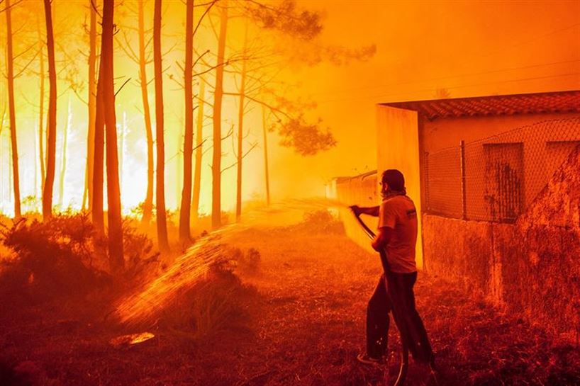 Al menos 38 muertos y 55 heridos en los incendios de Portugal