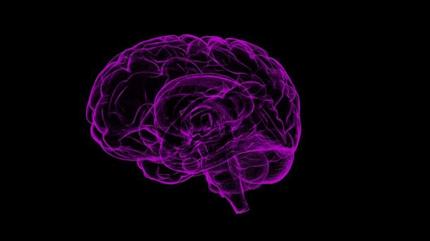 Sesgos cognitivos: las trampas del cerebro y el descubrimiento de Altamira