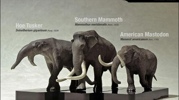 ¿Cómo eran los mamuts? e historia de la tortura en el proceso judicial