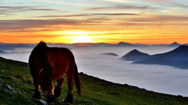 Aralar. (Foto: Txomin Rezola)