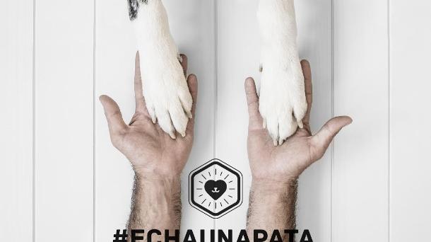#echaunapata17