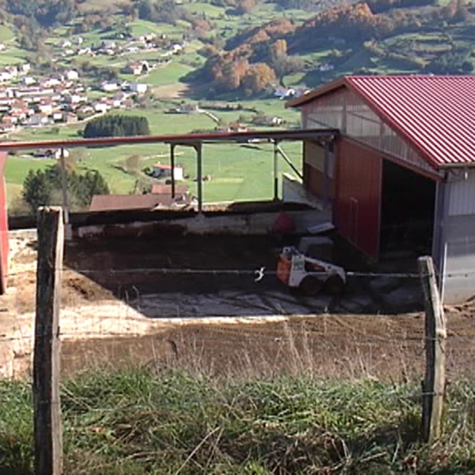 Investigan la muerte de 45 vacas en Berastegi