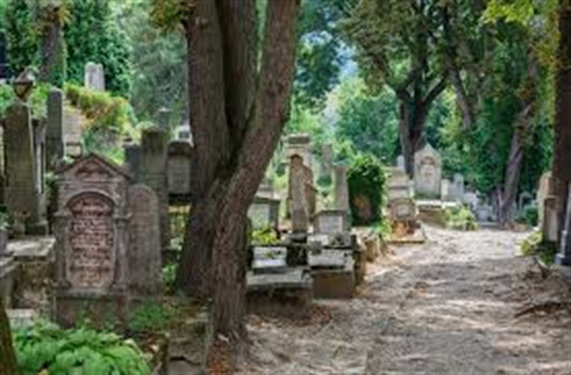 Foto del cementerio de Santa Isabel de Vitoria-Gasteiz.