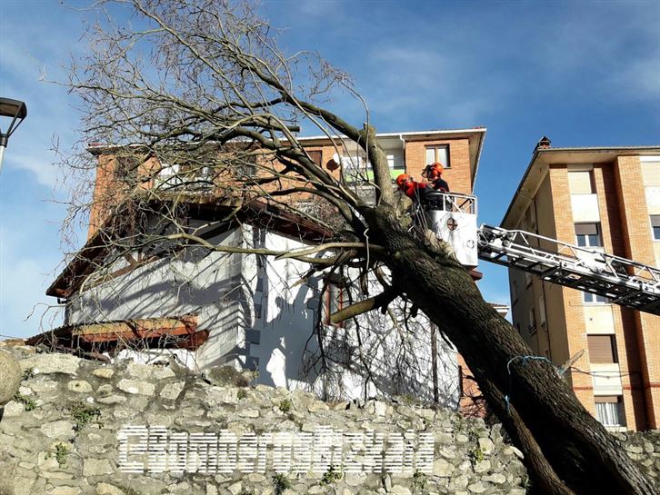 Árbol caído en Orduña. Foto: Bomberos de Bizkaia