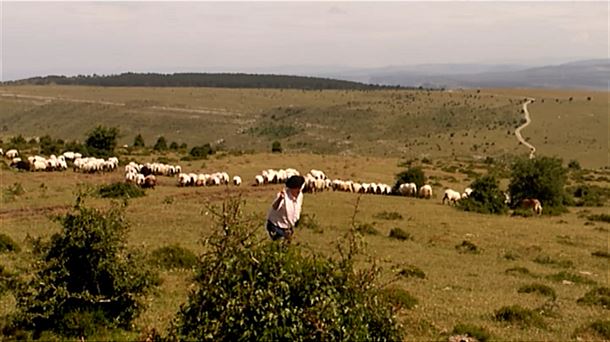 Documental sobre los últimos pastores de Sierra Salvada 