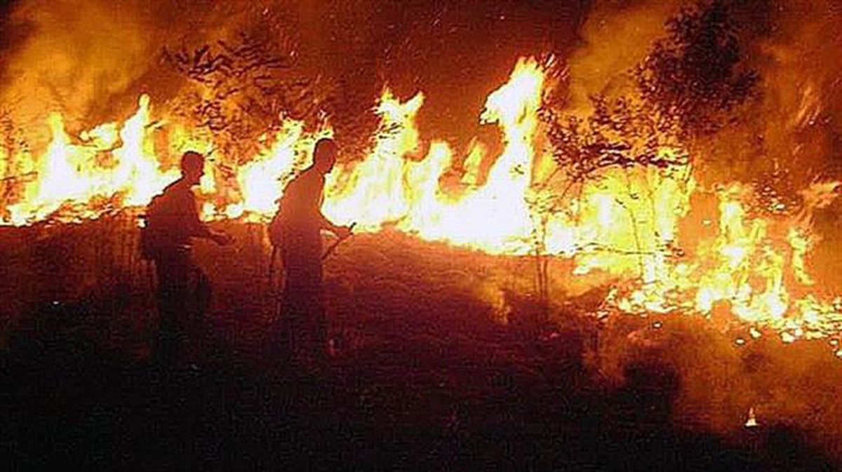 Bomberos combaten un incendio en la selva amazónica en el estado de Acre (Brasil)