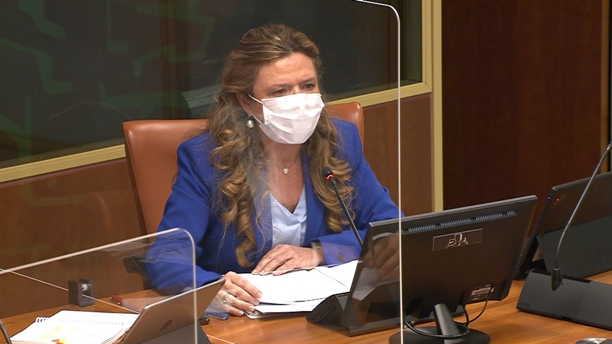 La consejera de Salud, Gotzone Sagardui, en el Parlamento Vasco. 
