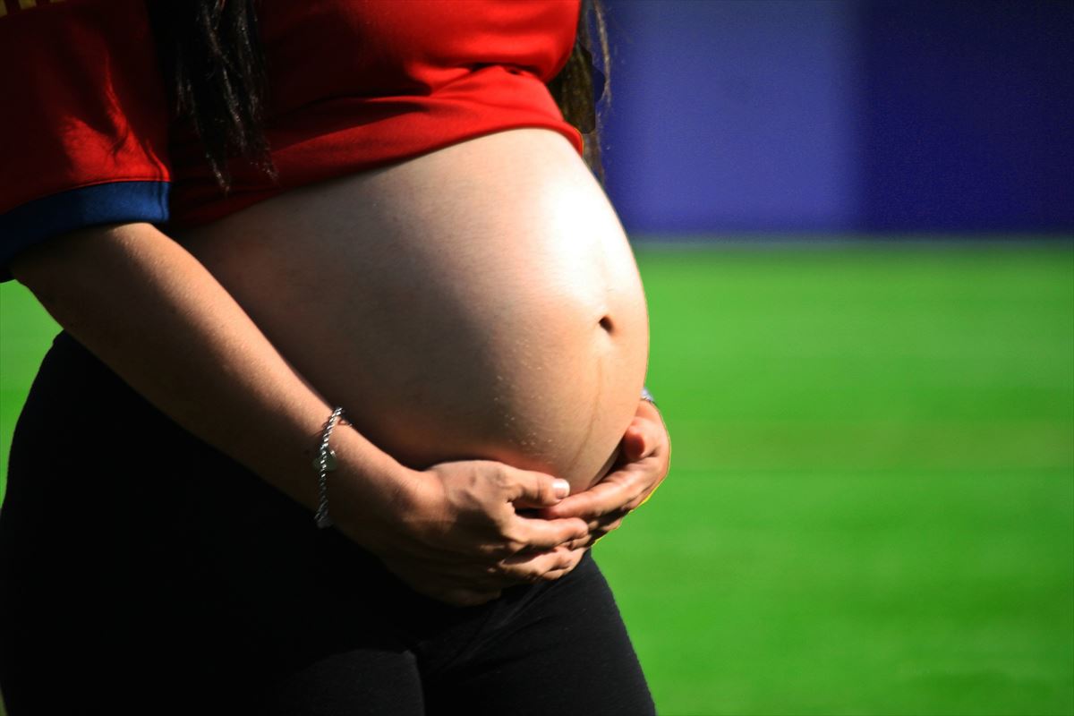 Embarazada. Foto: Pixabay