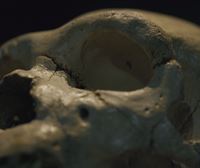 ¿De qué se morían hace miles de años? ¿Practicaban rituales funerarios? 