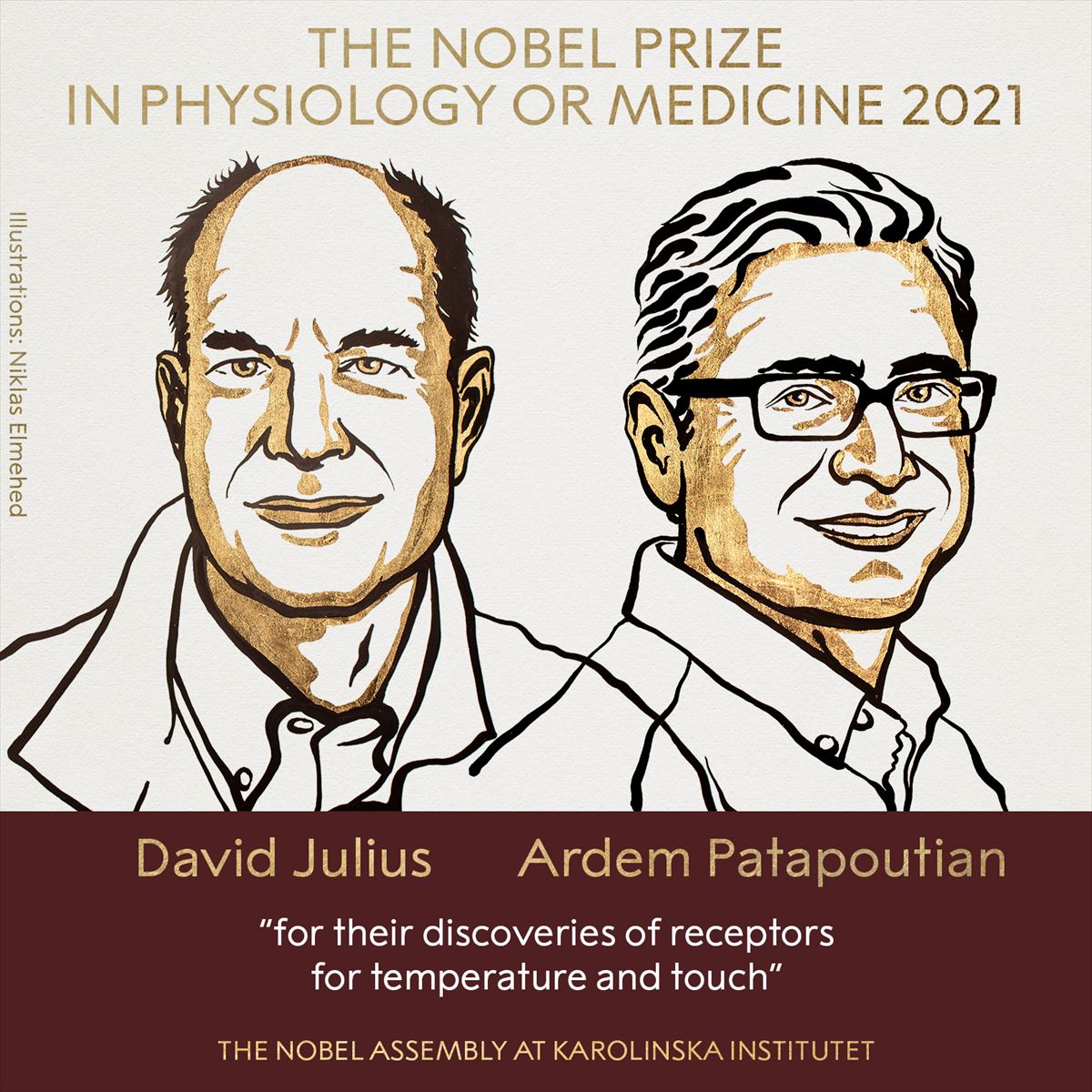 David Julius eta Ardem Patapoutian, 2021eko Medikuntzako Nobel Sariaren irabazleak