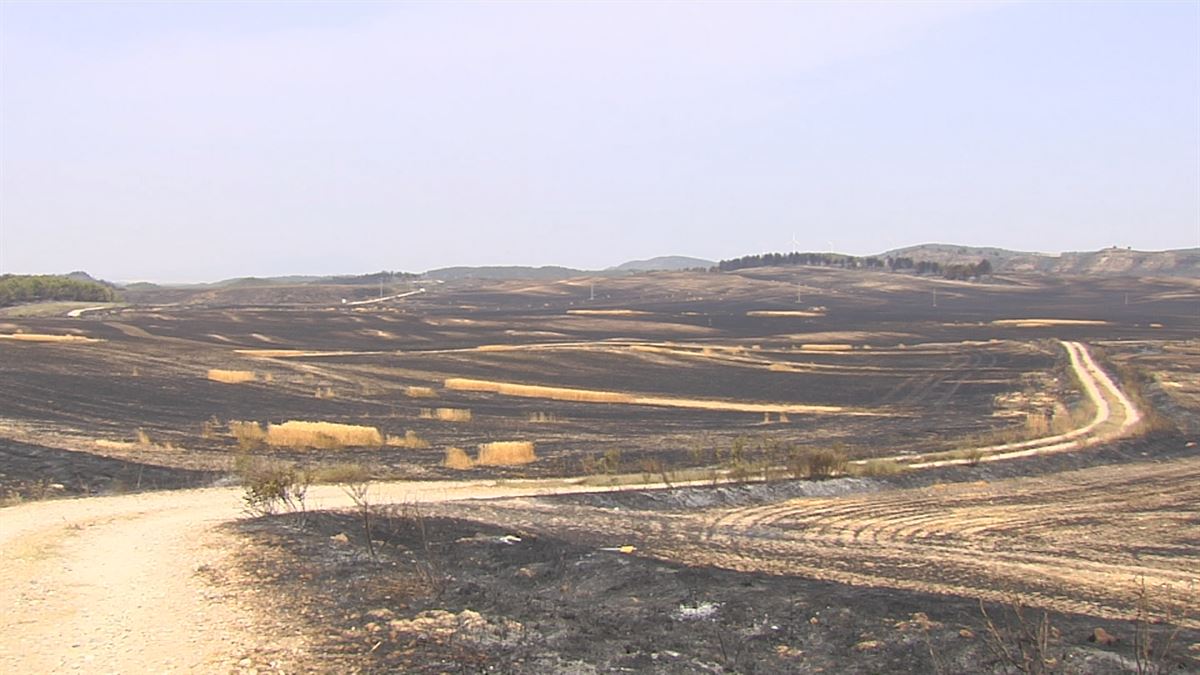 Incendio en Larraga. Imagen obtenida de un vídeo de EITB Media.