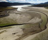 La sequía ha afectado gravemente a 40 000 hectáreas en Navarra