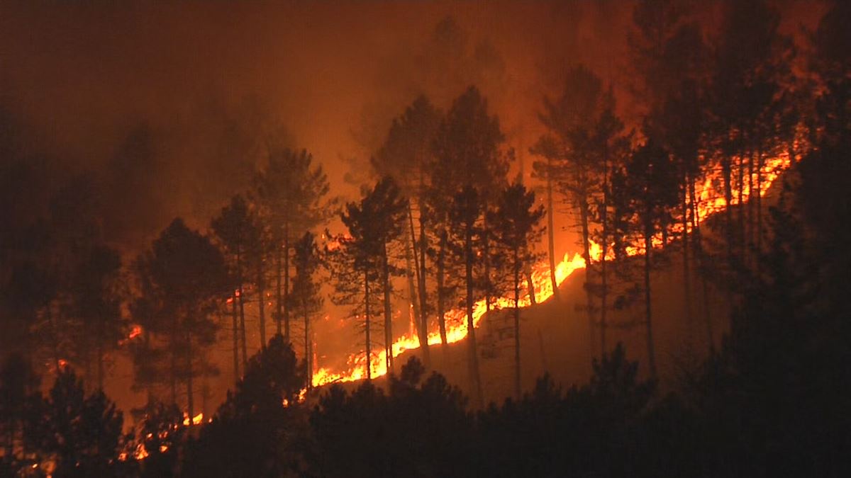 Incendio en La Arboleda. Imagen obtenida de un vídeo de EITB Media.