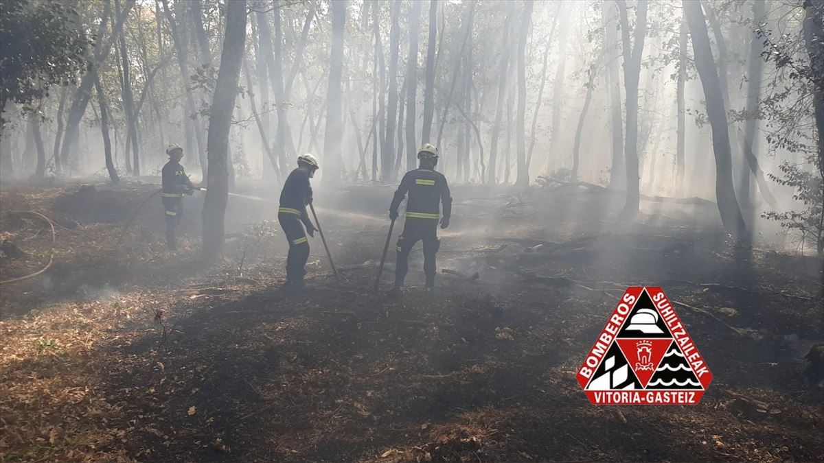 Bomberos trabajando en el incendio de Gorbea. Foto: @Bomberos_VG