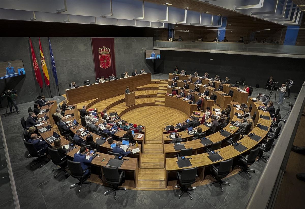 Nafarroako Parlamentua. EFE. 