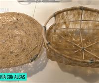 Así crea Aritz Antolin las cestas a partir de algas