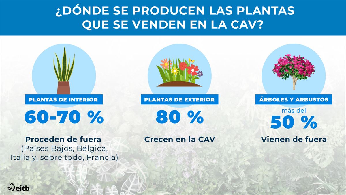 ¿De dónde provienen las plantas que se venden en la CAV?
