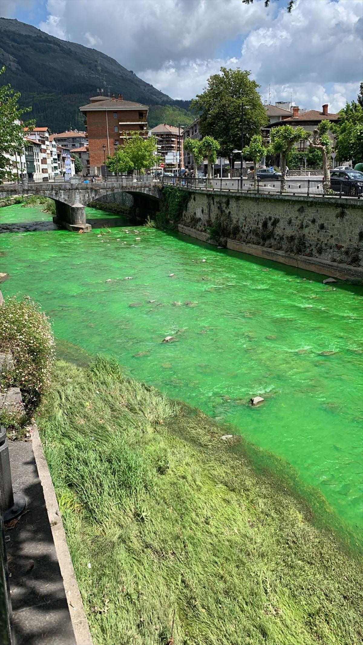 El río Urola de Azkoitia se tiñe de verde. Argazkia: EITB MEDIA.
