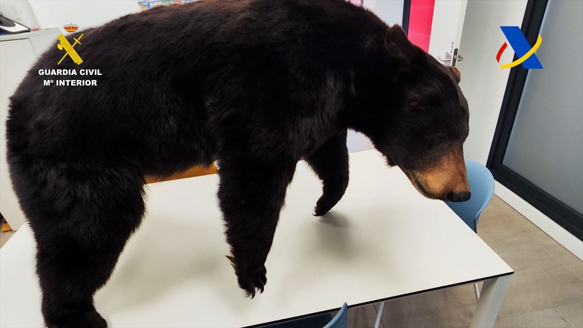 El oso disecado intervenido. Foto: La Guardia Civil.