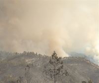 El fuego calcina en Portugal más de 10 000 hectareas