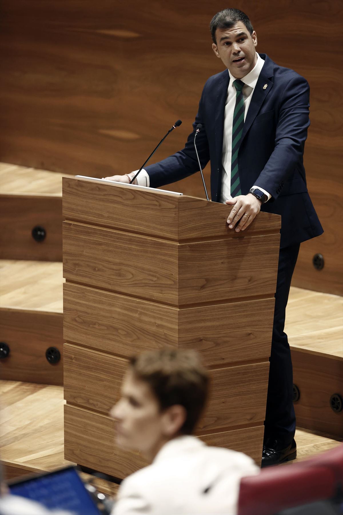 El portavoz del PP en el Parlamento de Navarra, Javier García. Foto: EFE