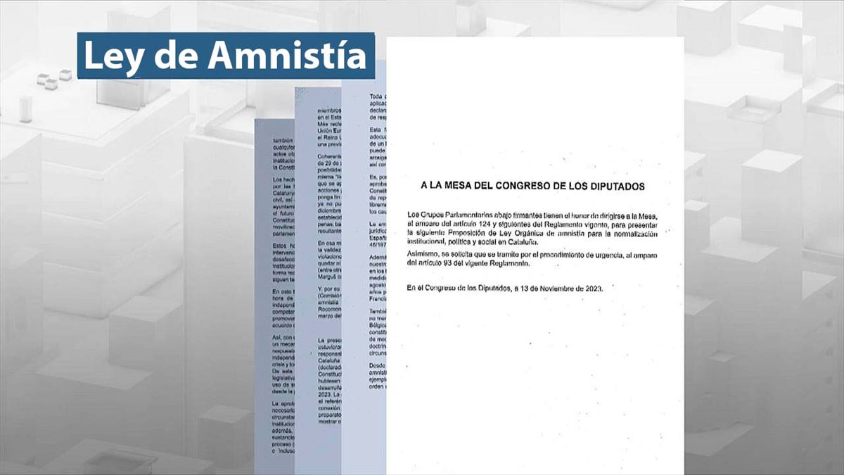 La ley de amnistía registrada por el PSOE en el Congreso