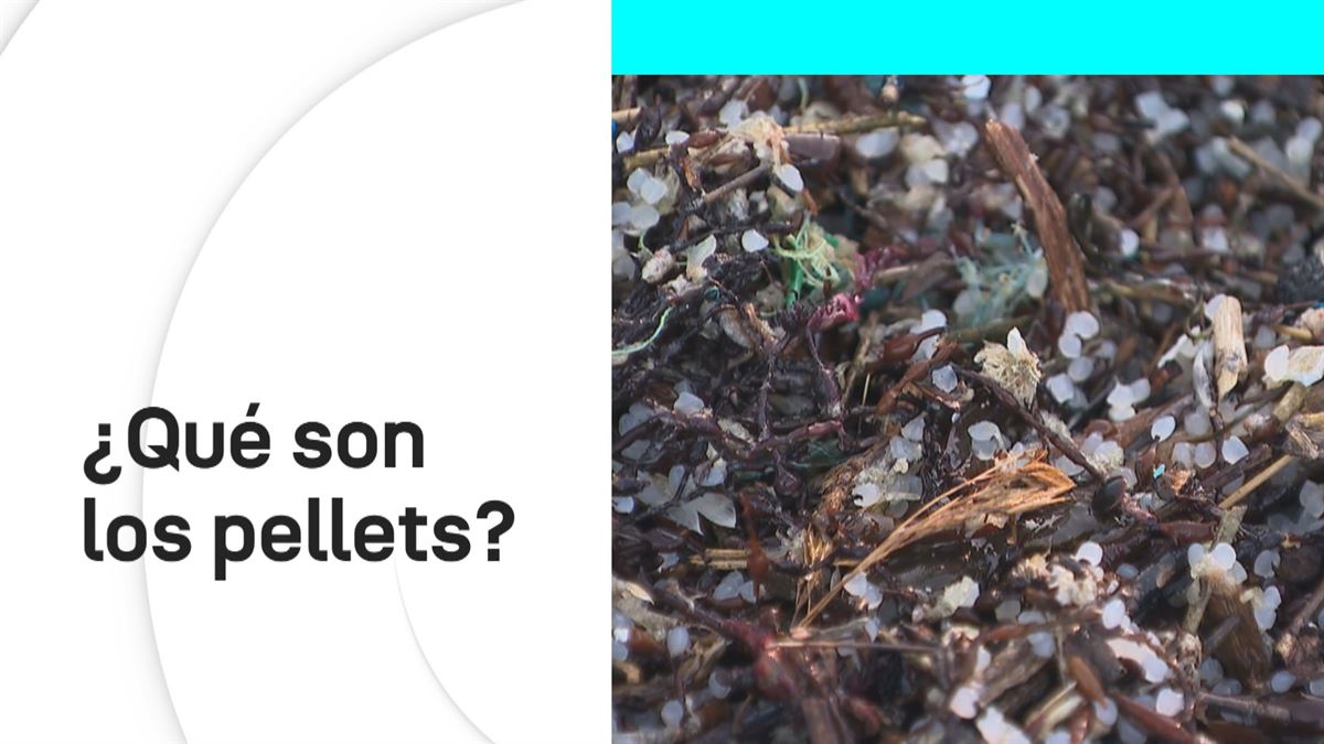 ¿Qué son los pellets y cuáles son los riesgos de su vertido al mar?