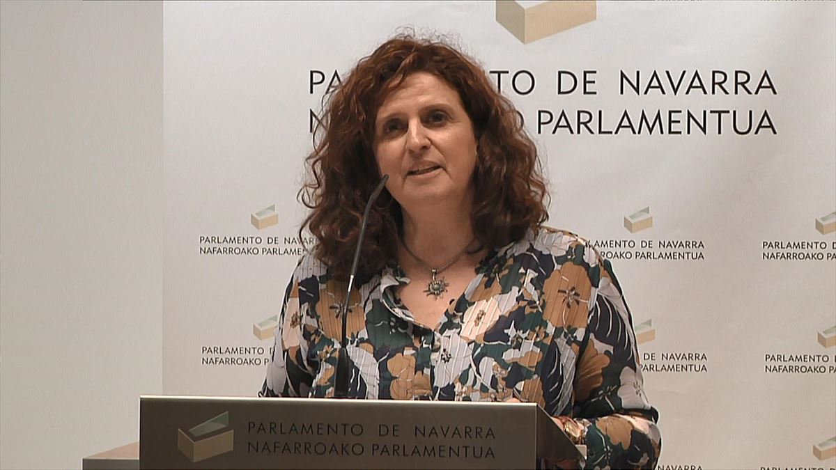 Álvarez, durante su comparecencia hoy en el Parlamento de Navarra. 