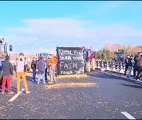 Será noticia: Protesta de agricultores en Baiona, Ley de Amnistía y nueva herramienta para la literatura vasca
