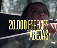 '20.000 especies de abejas' filma PRIMERAN plataforman dugu ikusgai euskaraz