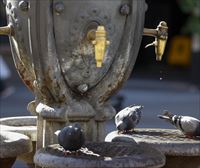 Cataluña levanta la fase de emergencia por sequía y flexibiliza las restricciones al uso del agua