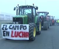Jornada de movilizaciones de pensionistas y agricultores en Vitoria-Gasteiz