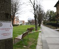 El viento provoca decenas de incidentes, con dos heridos en Donostia al caerles un árbol encima