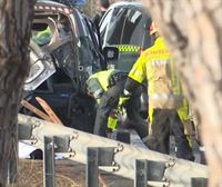 Seis muertos, entre ellos dos guardias civiles, al arrollar un camión un control policial en Sevilla
