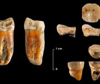 100.000 urteko neandertalak Bizkaian, Zientzia Azoka Noafarroako topaketa eta Eden proiektua 