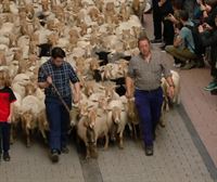 Reconocimiento por todo lo alto al trabajo de pastores y queseros, una vez más, en el Artzain Eguna 