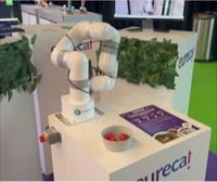¡Robots que recogen fresas con inteligencia artificial y vision artificial!