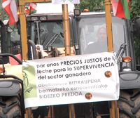 Traktoreak kalera itzuli dira Gasteizen, politikarien ''jarduerarik eza'' kritikatzeko