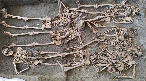 Varios restos exhumados de una fosa común de Viznar (Granada). 