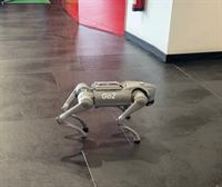 Unitree Go2 Plus: el robot estrella del ''IA & Robotics Lab''